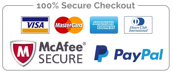 website secured payment system
