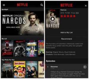 Netflix interface