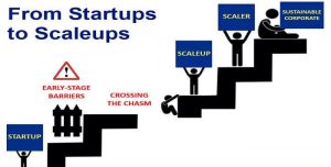 scaleups startup 