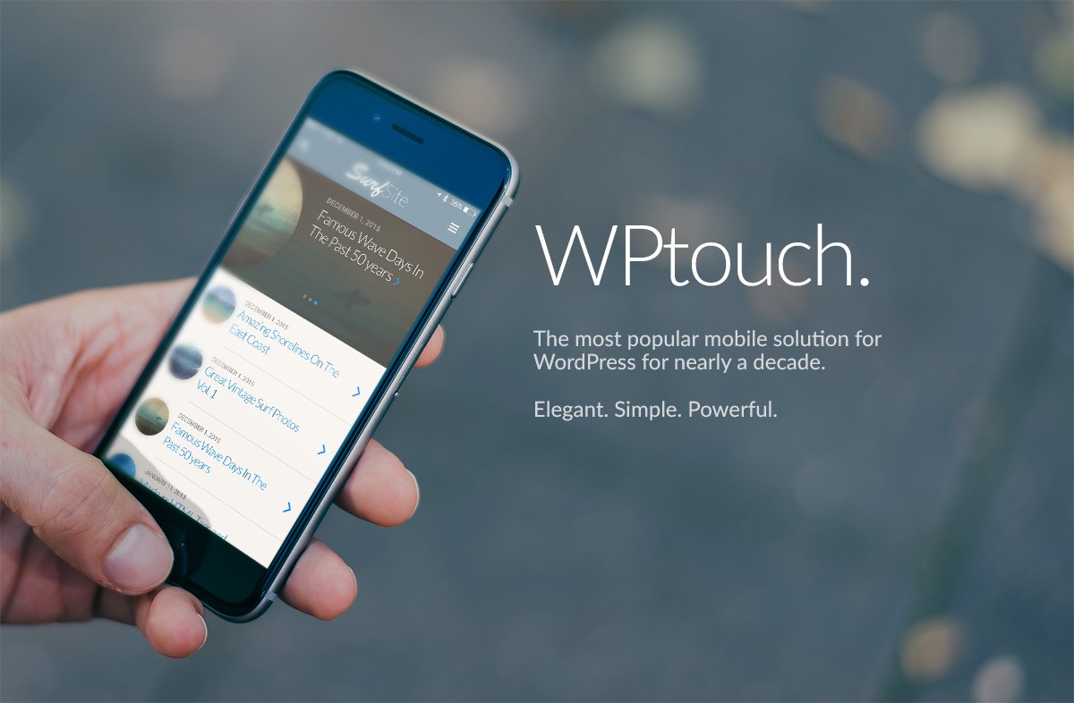 WP Touch Plugin