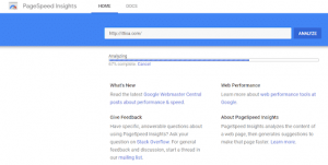 Google Page Speed Analysis for SEO